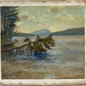 Leaning Tree at Taylor Pond