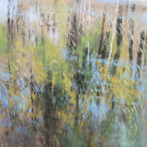 Ode To The Pond in A Dry Year