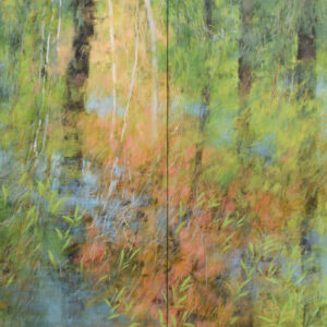 Wetland Woods Suddenly Spring