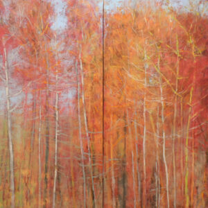 Old Meadows and Young Woods