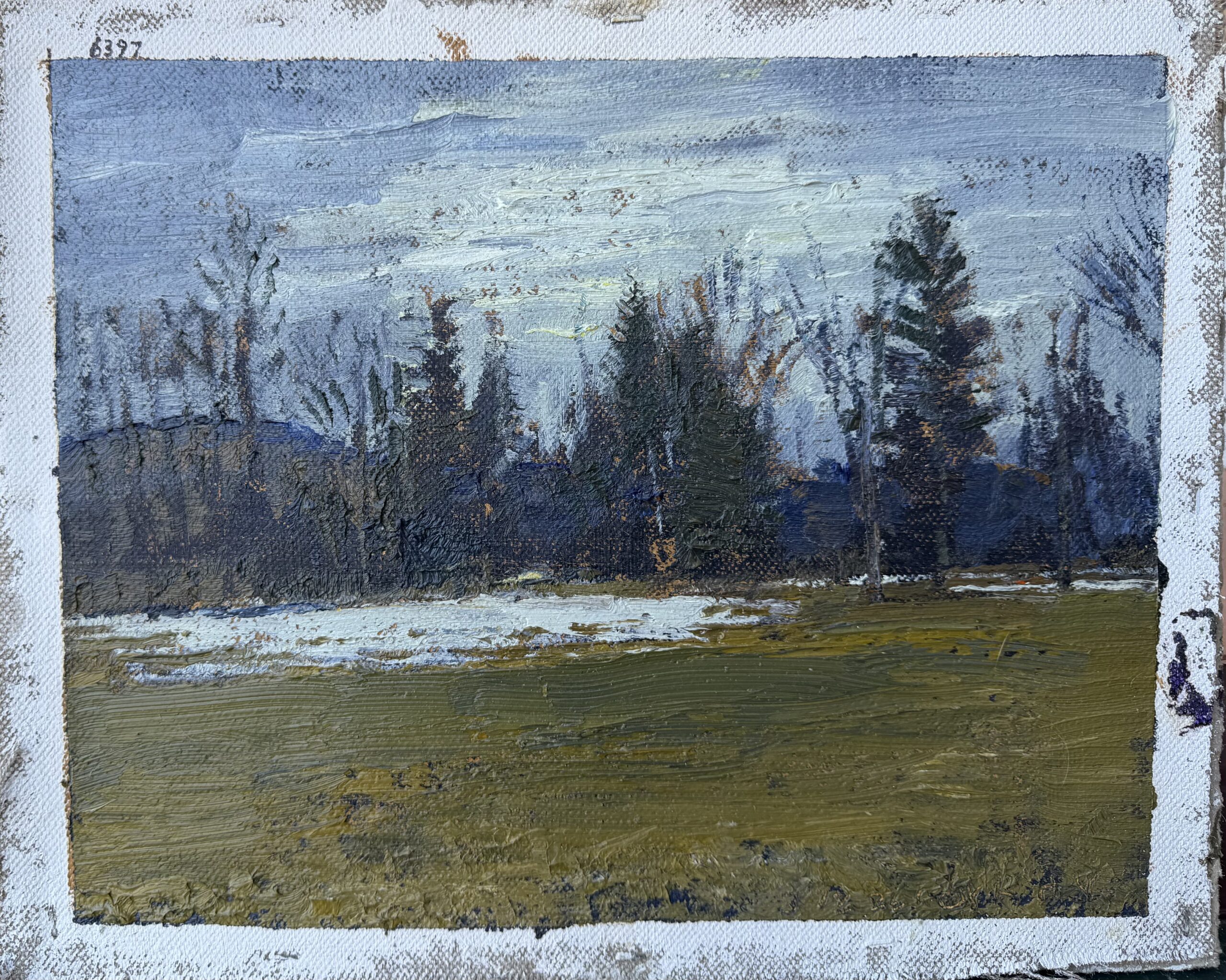 Thawing Field (6397)