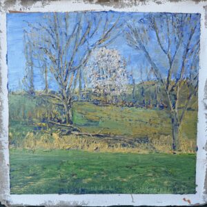 A Pale Pink Tree (6414)