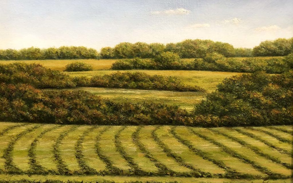 Windrows Last Cutting By Clarence King