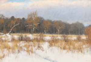 Swamp Willows, Deep Snow By James Coe