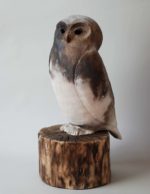 Owl on Oak By Julie Branch