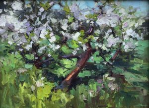 Apple Blossoms By Valerie Craig